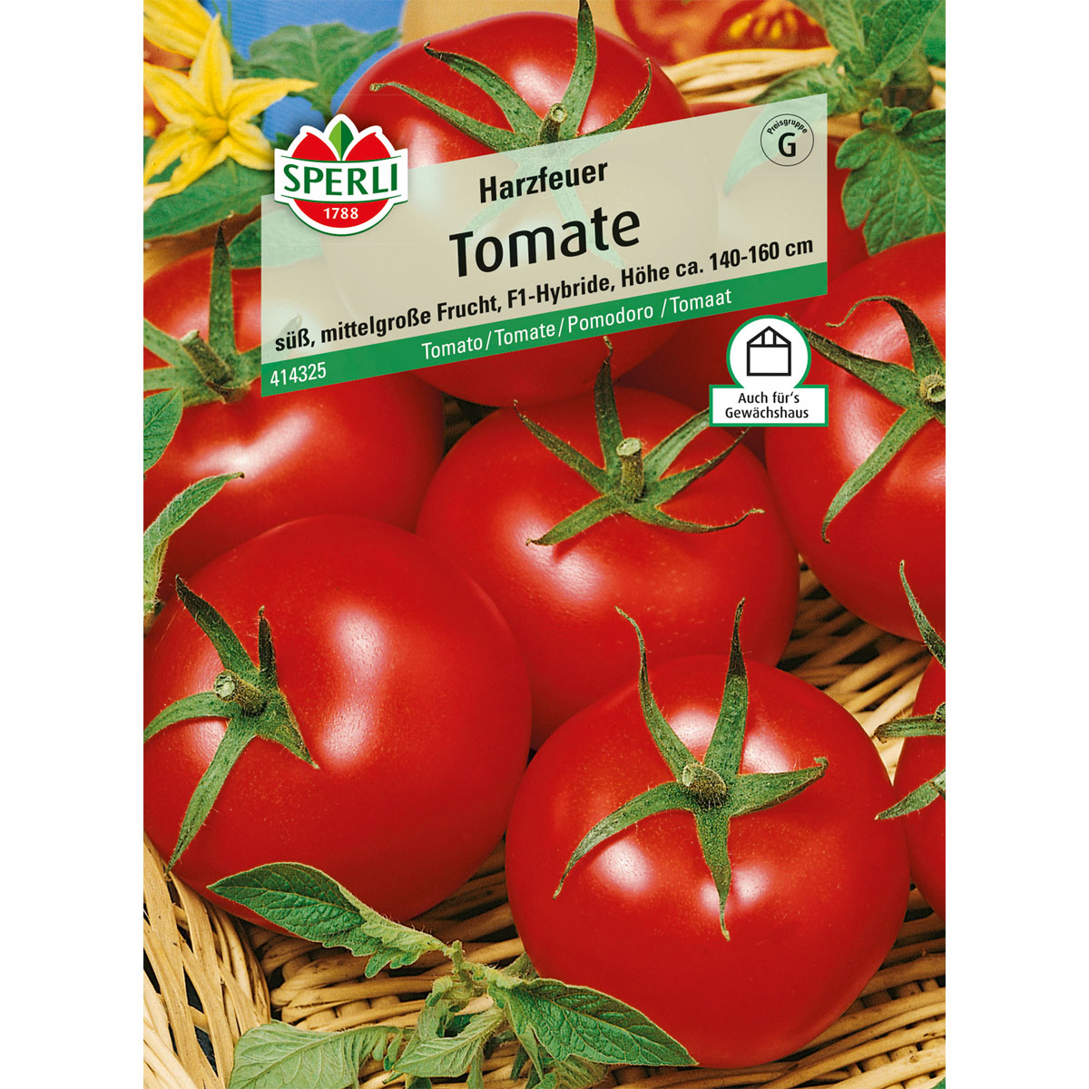 Tomaten Harzfeuer 14514