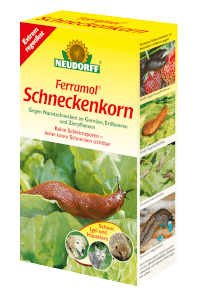 Schneckenkorn