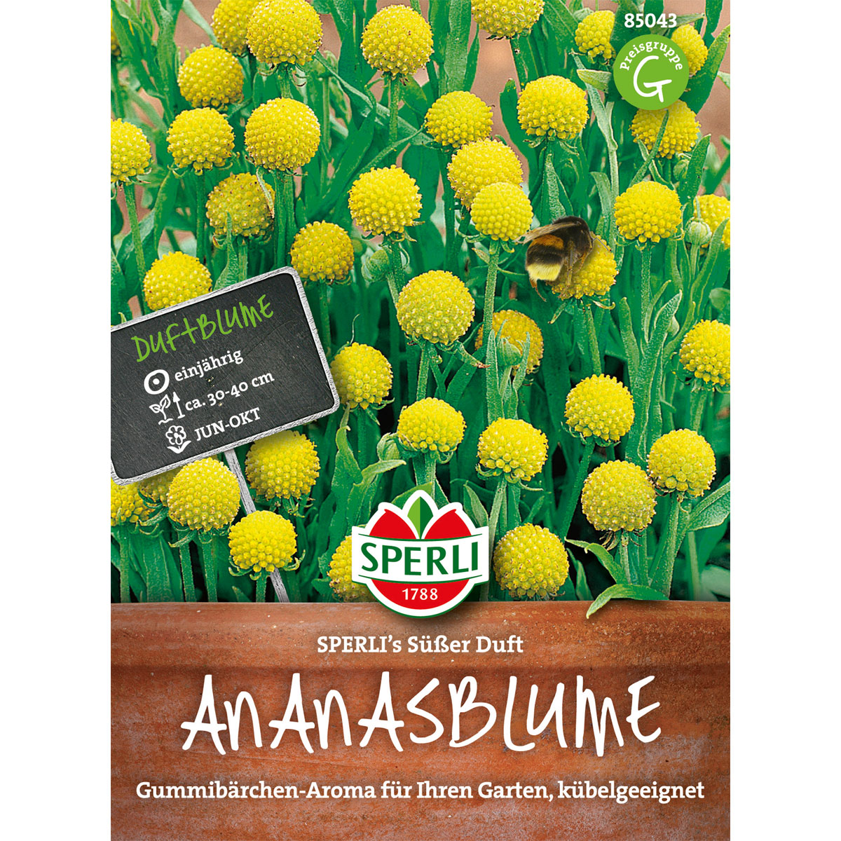 Sperli Ananasblumen ngs Süßer Duft | 36562