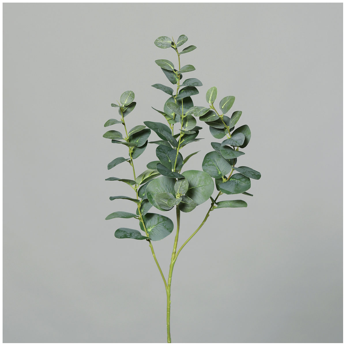 92 | Eukalyptuszweig cm green 522229