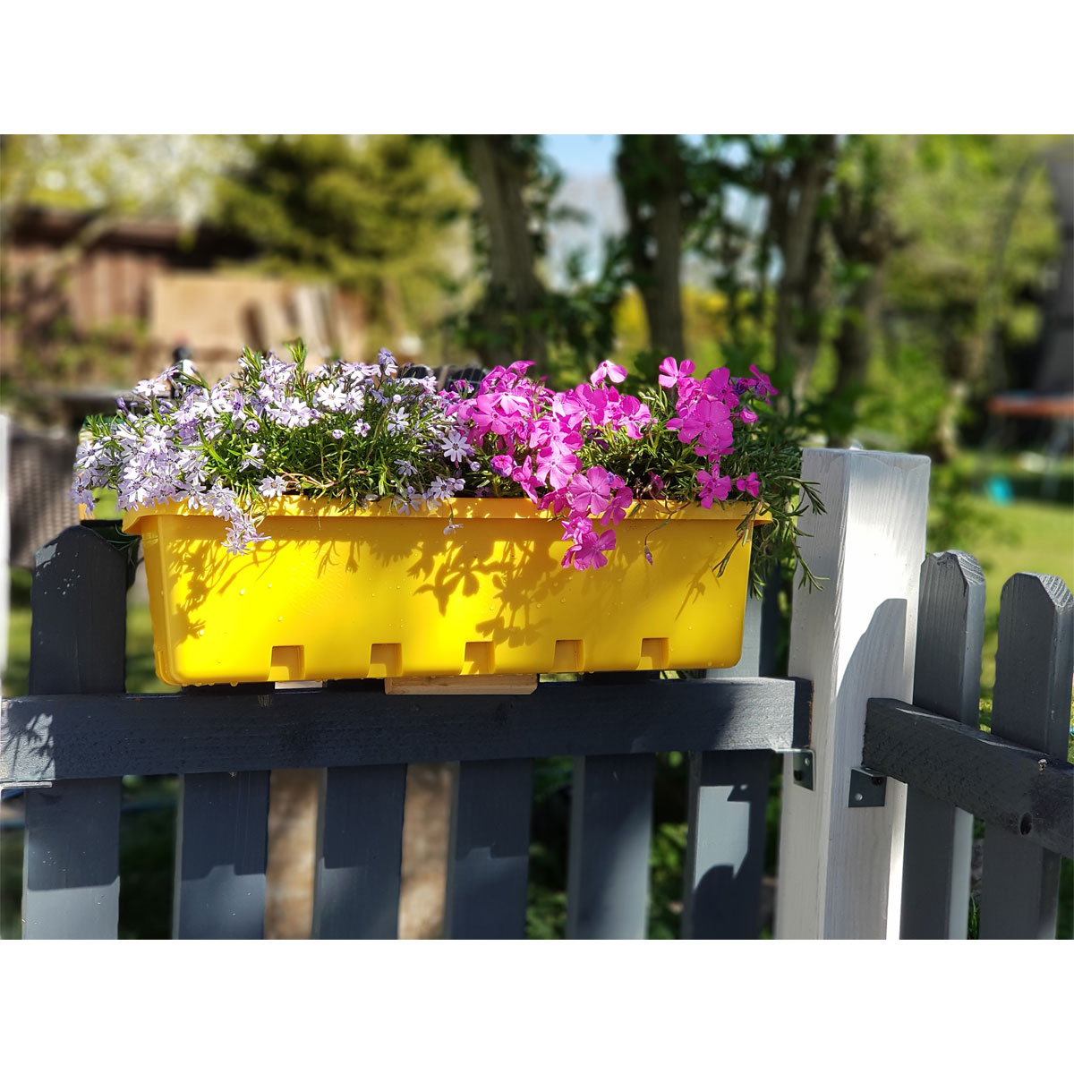 GreenLife Blumen- und 5 Stück | Kräuterbox Gelb gelb K000064665 