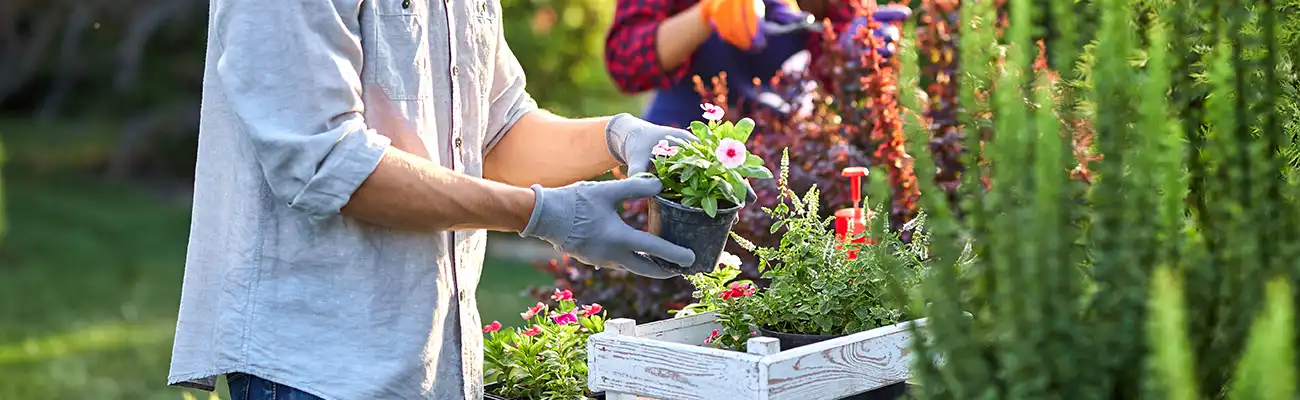 kaufen Pflanzgefäße HELLWEG bei online & Pflanzenpflege